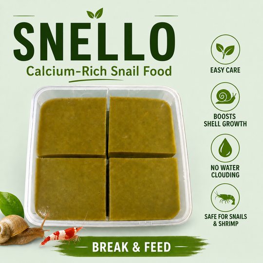 Snello Calcium-Rich Snail Food in a clear plastic tray, divided into four square sections. The food is a thick olive-green paste.