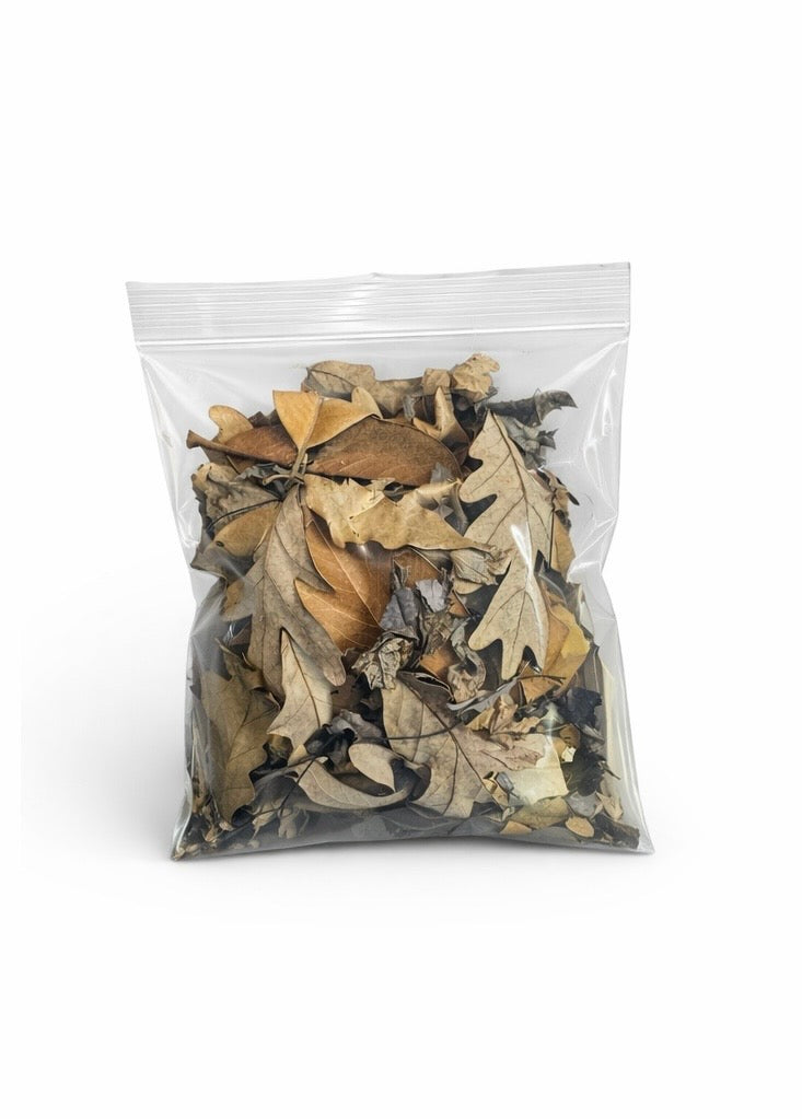 Hardwood leaf litter blend for bioactive enclosures in clear plastic bag