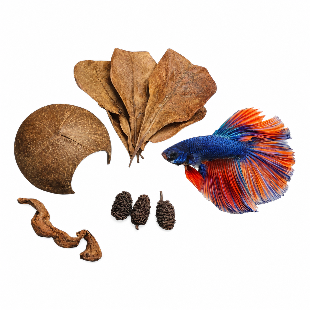 Betta fish botanical bundle with Indian almond leaves, coconut cave, alder cones, and driftwood pieces arranged on a white background for aquarium and betta tank decor.