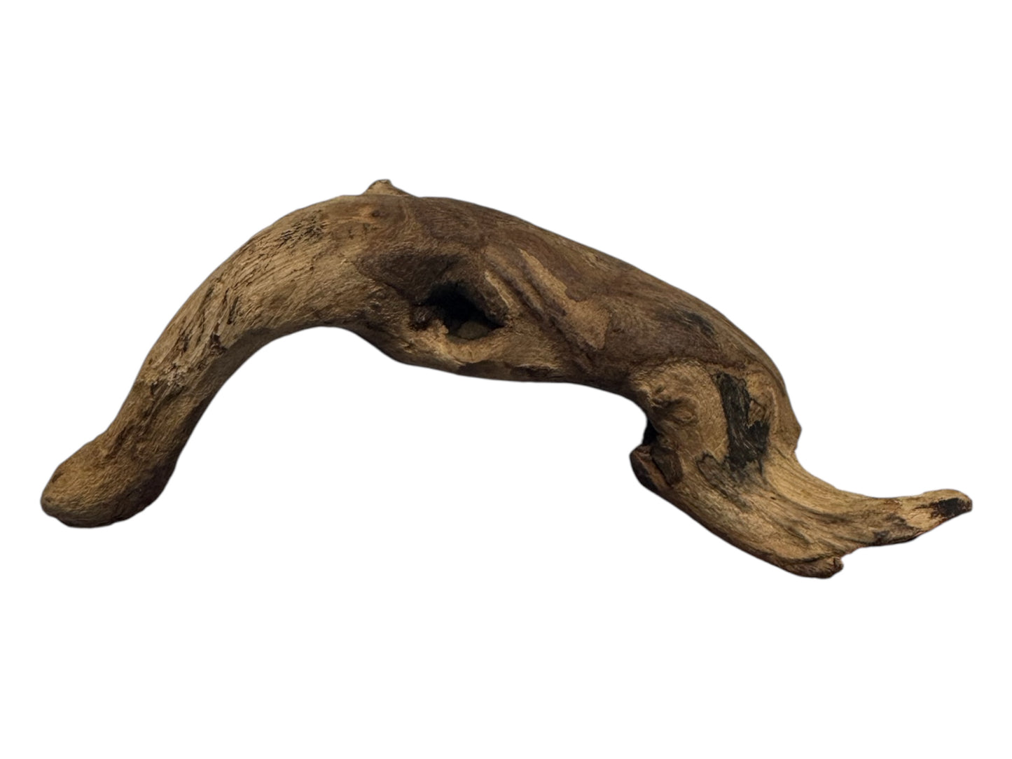 Mopani Driftwood 6- 7 inches- Aquarium Wood Decor for Fish, Shrimp, Reptiles, and Air Plants