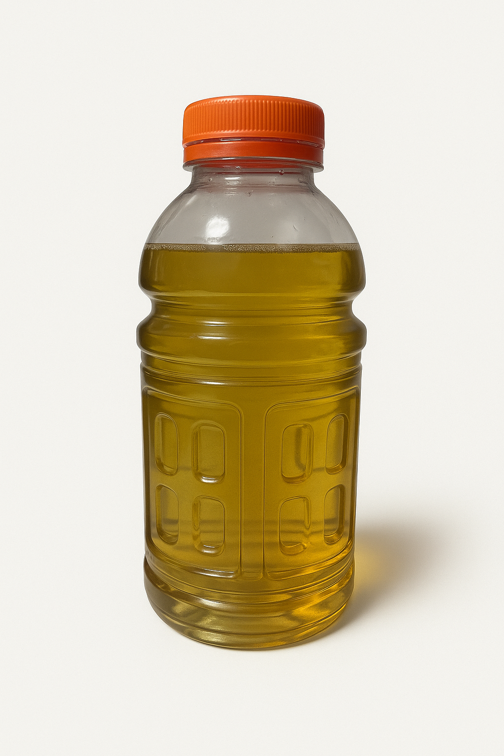 Vinegar Eel mature culture in 20 ounce bottle 