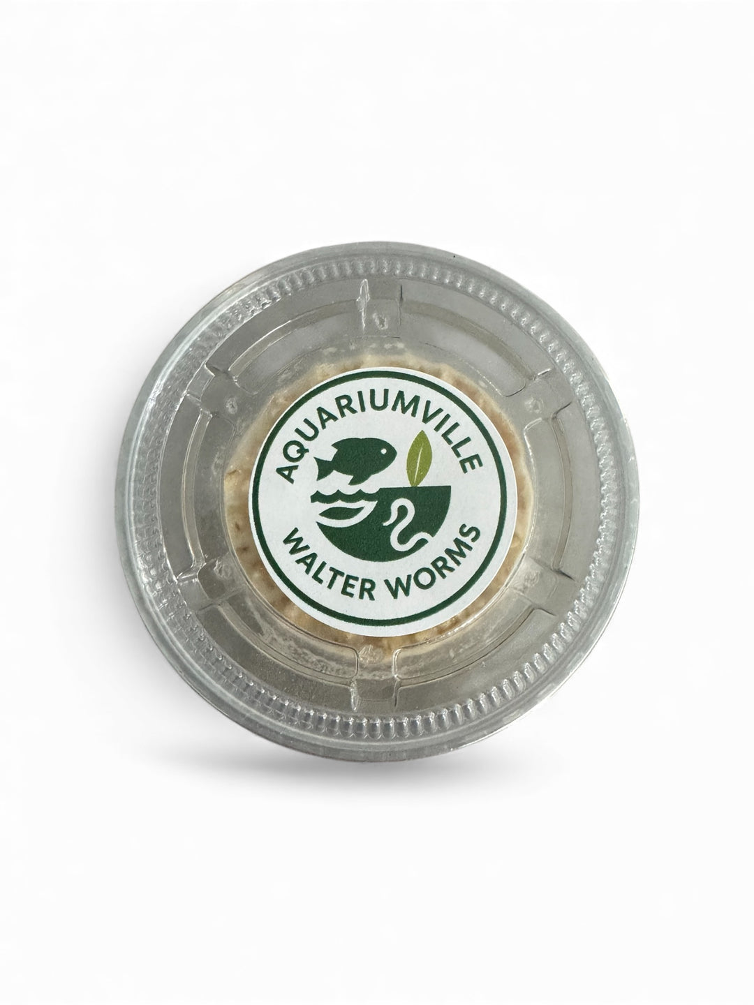 Walter Worm Starter Culture – Live Fish Food for Fry, Betta, and Nano Fish | AquariumVille