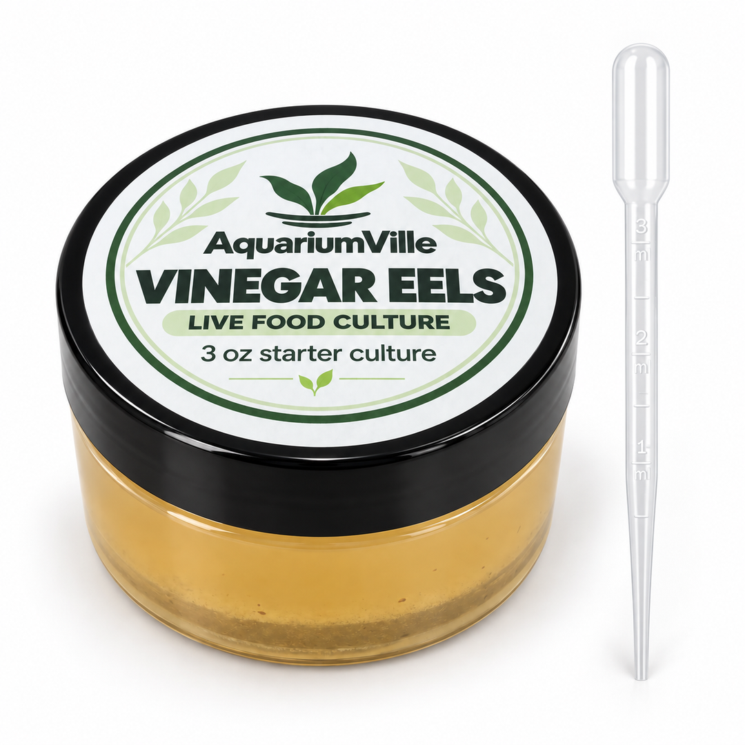 Vinegar Eel Starter Culture for Fish Fry – 3 oz with Pipette &amp; Care Guide