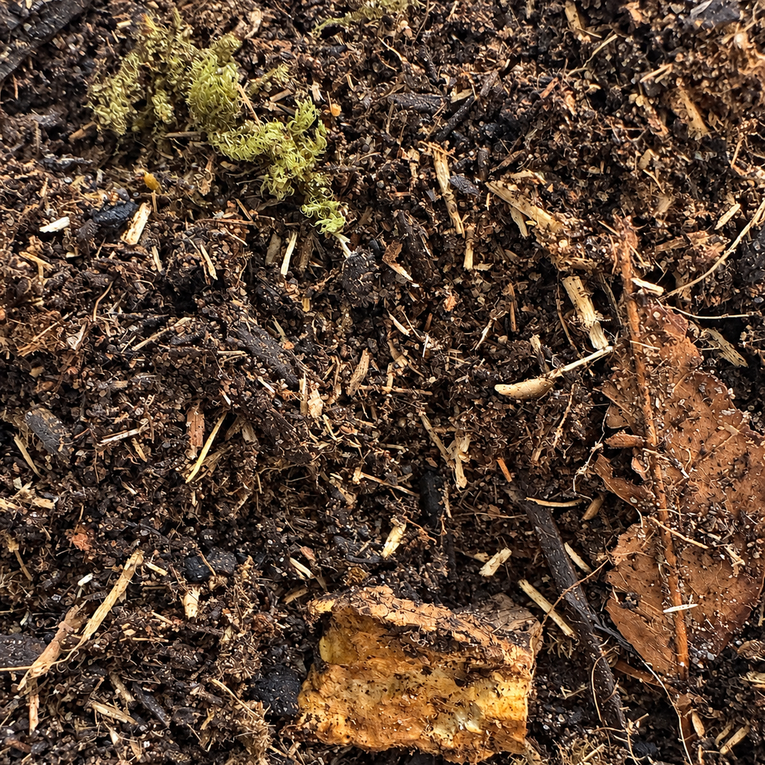 Terrarium Substrate Mix – Bioactive Soil Blend