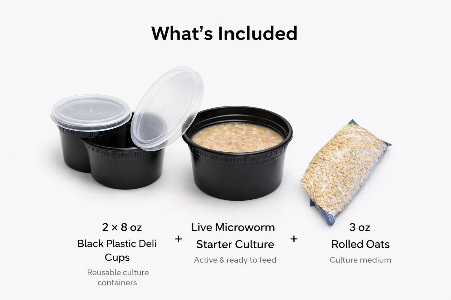 Complete Microworm Starter Kit