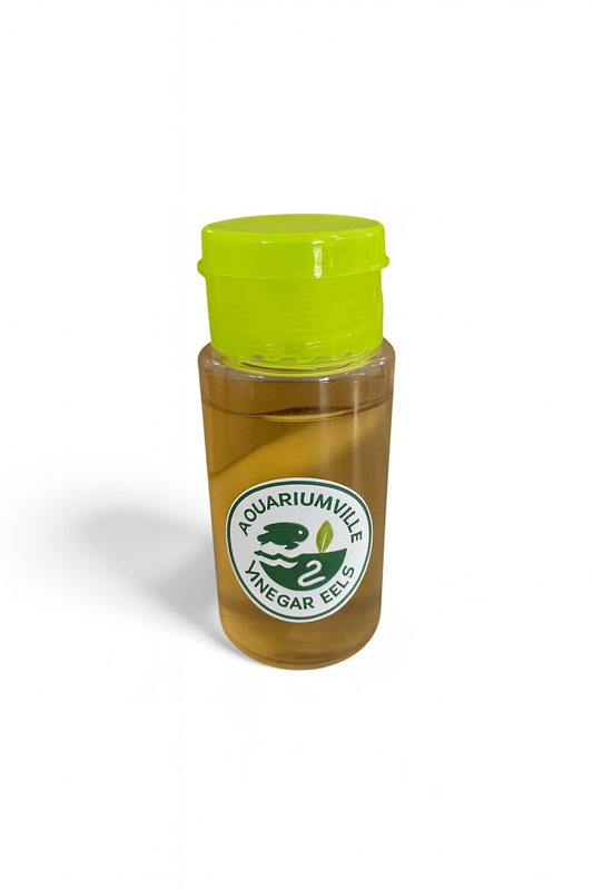 Vinegar Eels Starter Culture, Fry Food, Betta Fry Food, Axolotl Baby Food