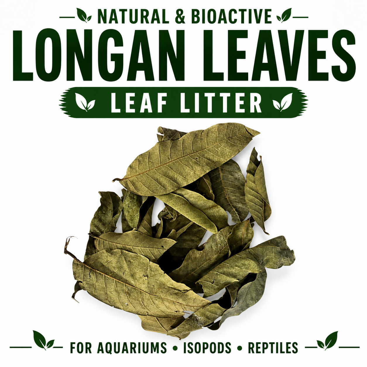 Longan leaves with text indicating their use for aquariums, isopods, and reptiles on a white background.