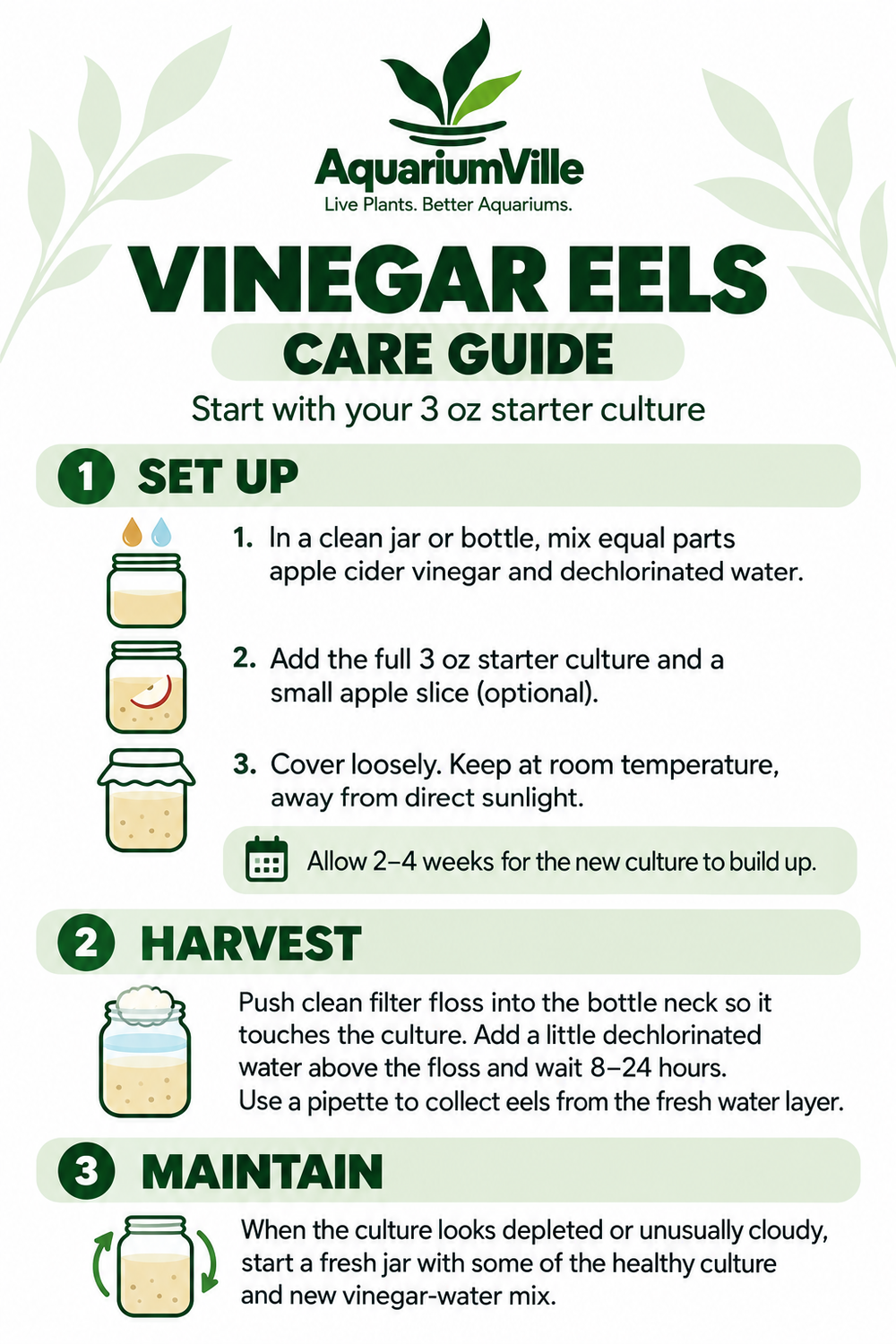 Vinegar Eel Starter Culture for Fish Fry – 3 oz with Pipette & Care Guide