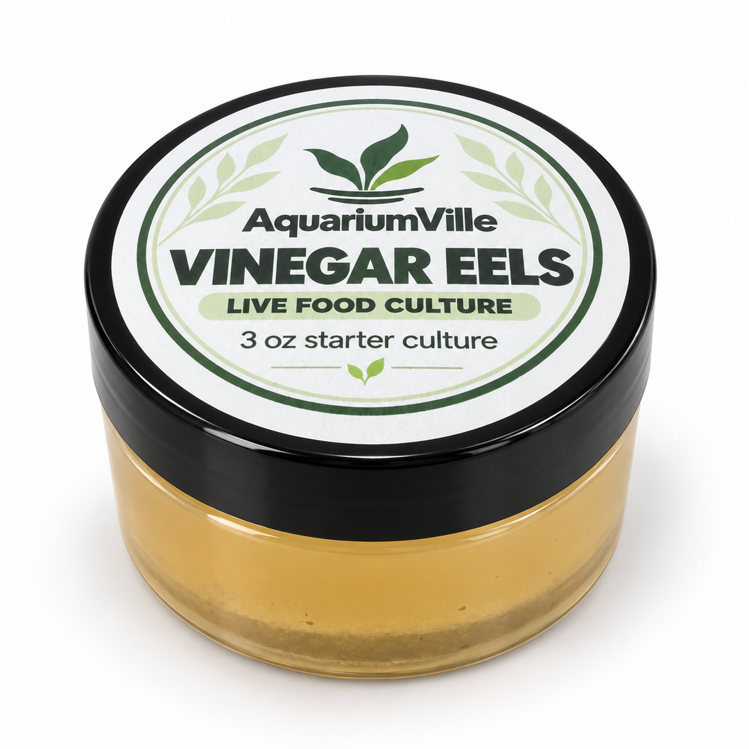 Vinegar Eel Starter Culture for Fish Fry – 3 oz with Pipette &amp; Care Guide
