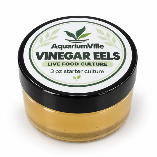 Vinegar Eel Starter Culture for Fish Fry – 3 oz with Pipette &amp; Care Guide