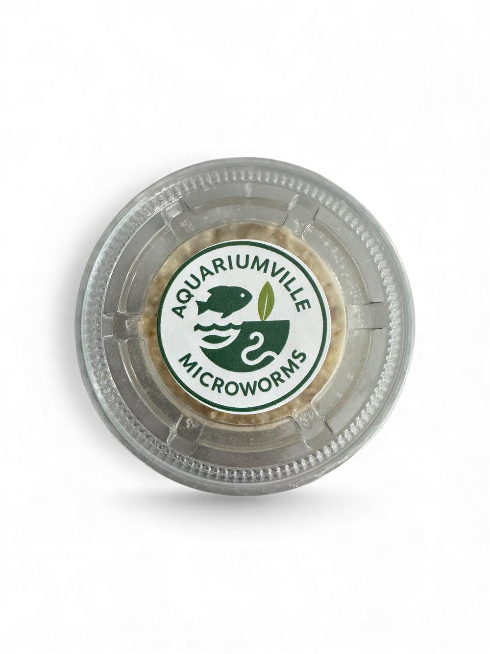 Top-down view of a sealed plastic culture cup labeled “AquariumVille Microworms,” with light-colored culture visible through the clear lid, photographed on a white background.