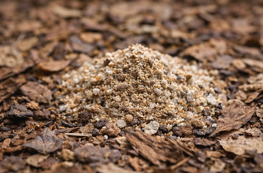 Isopod &amp; Springtail Food Blend — Bioactive Essentials™