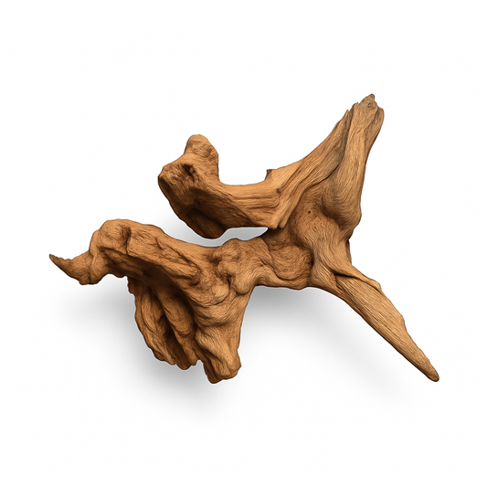 Natural Mopani driftwood piece for aquariums, shrimp tanks, betta tanks, and reptile enclosures, showing detailed grain and branching shape on a white background—ideal aquarium hardscape wood.