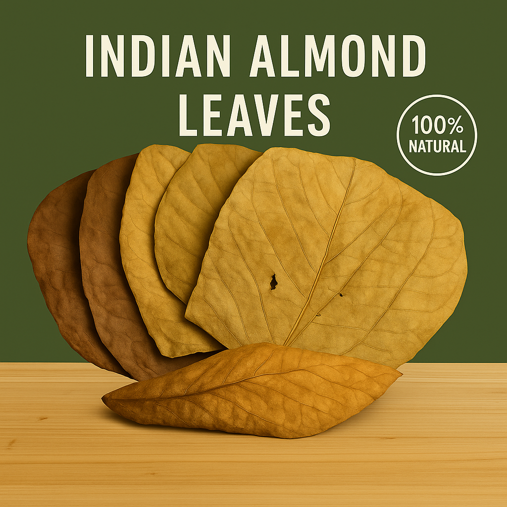 Indian Almond Leaves displayed on a wooden surface with a green background and “100% Natural” label, showing assorted leaf sizes and colors.