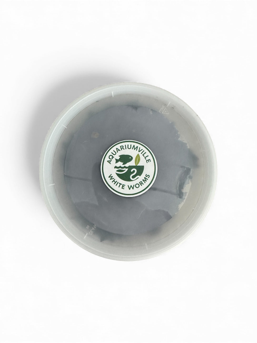Top-down view of a sealed plastic culture container with a centered AquariumVille “White Worms” label on the lid, photographed on a clean white background.