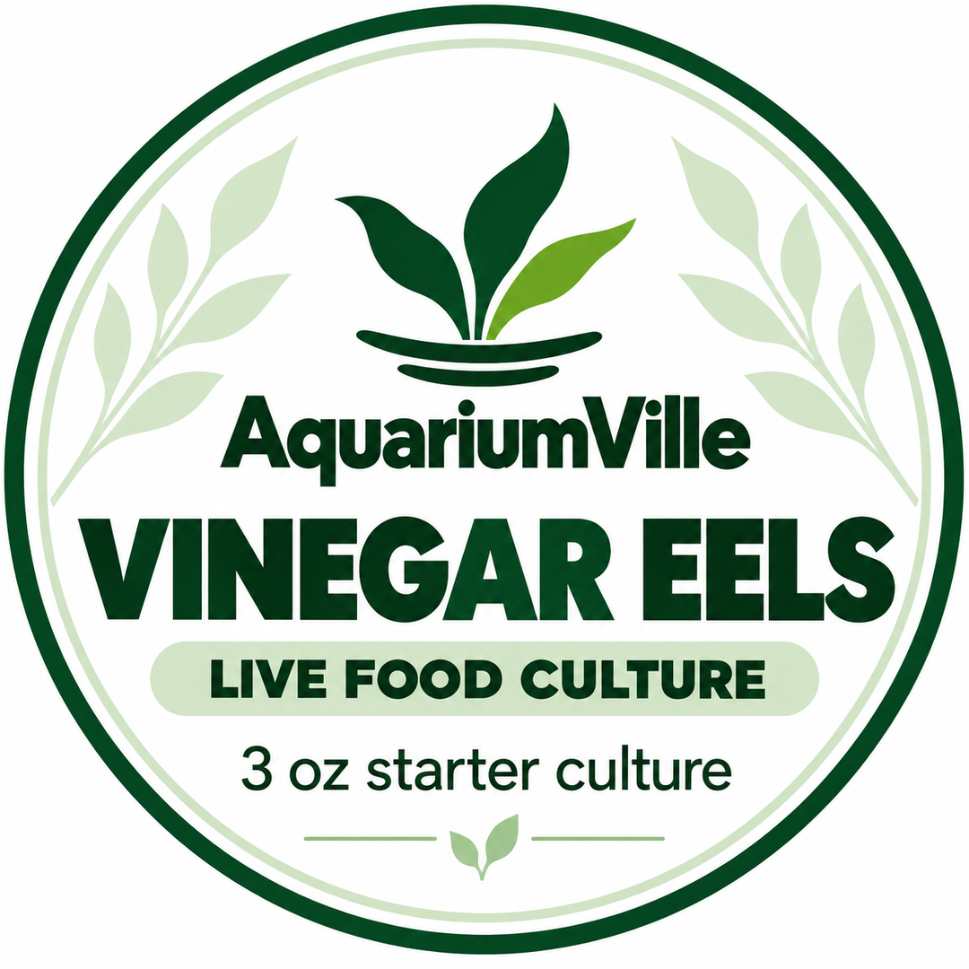 Vinegar Eel Starter Culture for Fish Fry – 3 oz with Pipette &amp; Care Guide
