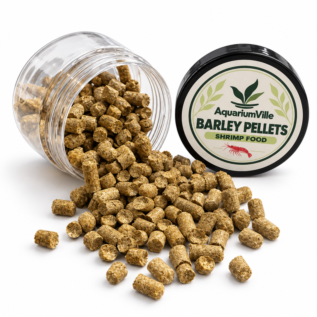     Open jar of AquariumVille barley pellet shrimp food tipped beside a spill of tan-brown pellets, with the labeled lid standing upright.