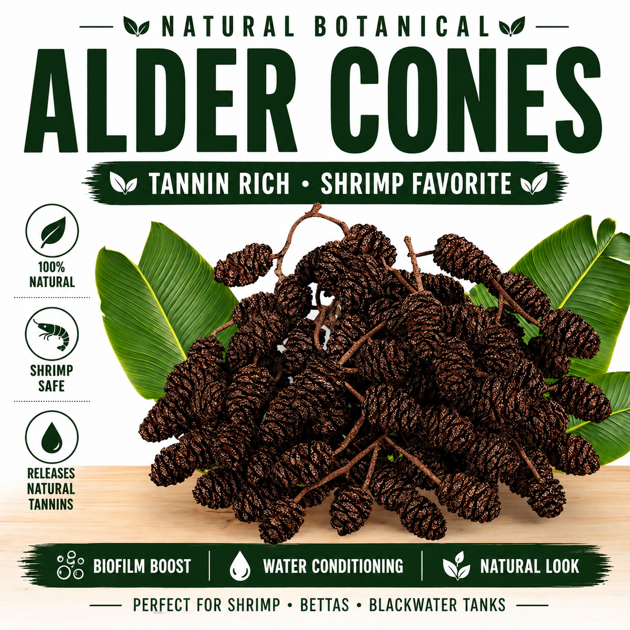 BOGO Alder Cones for Aquariums | Blackwater Botanical for Shrimp & Aquatic Tanks