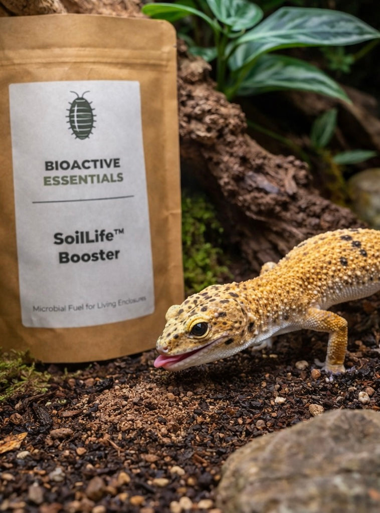 Gecko next to a 'SoilLife Booster' package on a natural background
