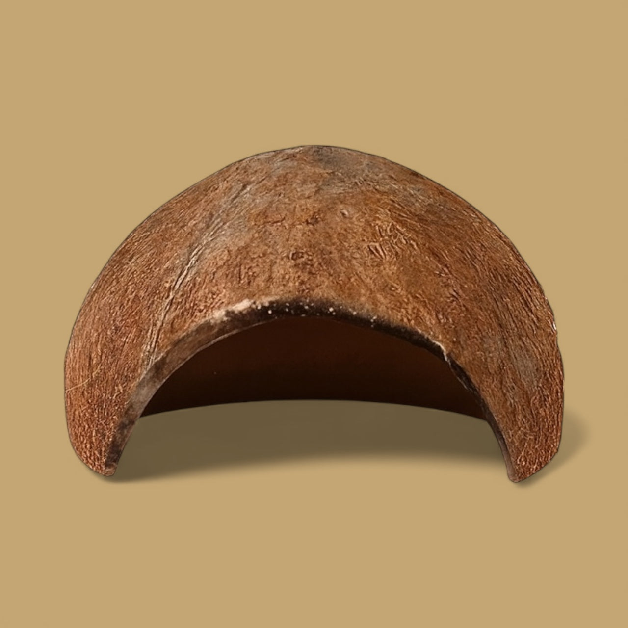 Half of a coconut shell on a beige background
