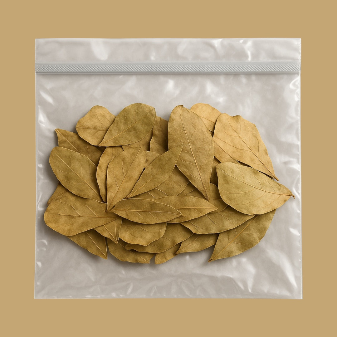 Mini Indian Almond Leaves / Catappa Leaves,  betta, axolotl, fry, tetra