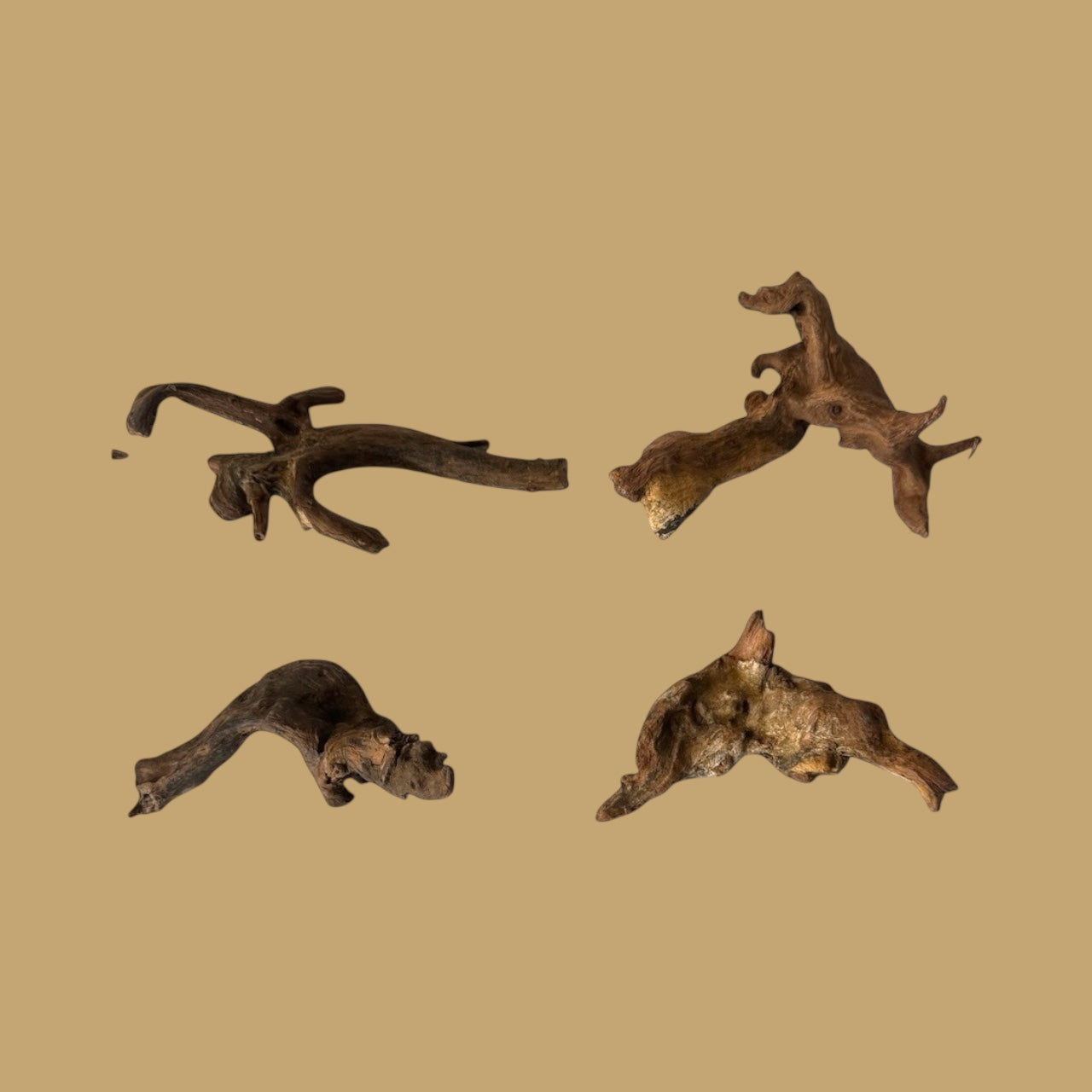 Four pieces of brown coral driftwood on a beige background