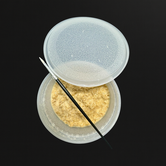 Microworm starter culture in a clear plastic deli cup with a moist oatmeal-like medium and a thin, shiny film indicating active worms, shown on a black matte background.