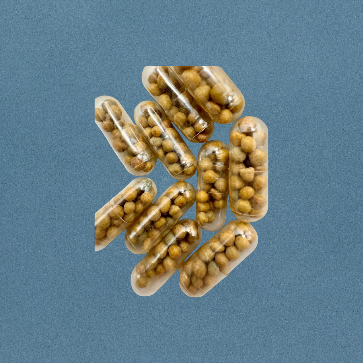 Root Tabs - 15 - for Aquarium Plants