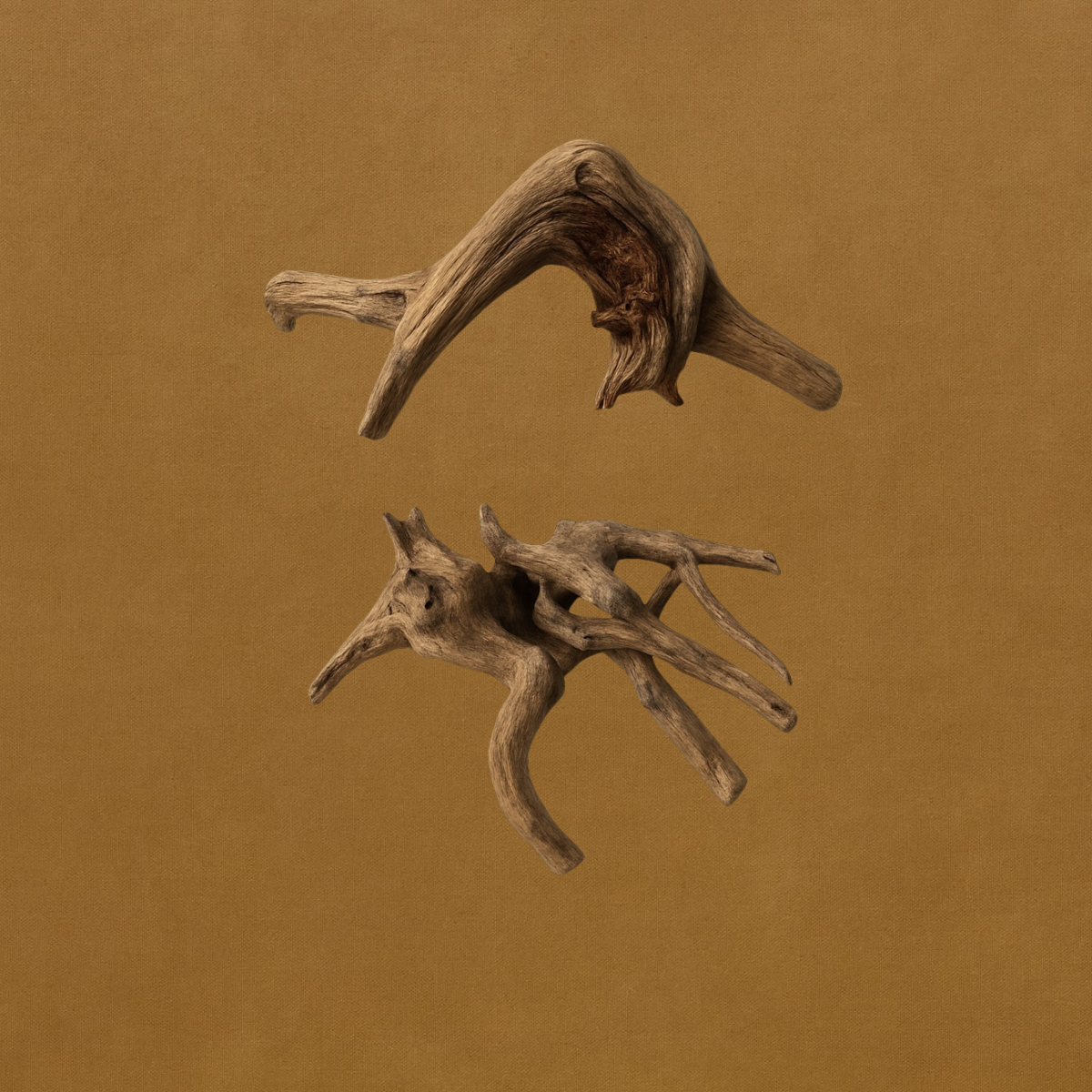 Spiderwood, One 6-8 Inches, Natural Aquarium Hardscape for Aquascaping and Planted Tanks