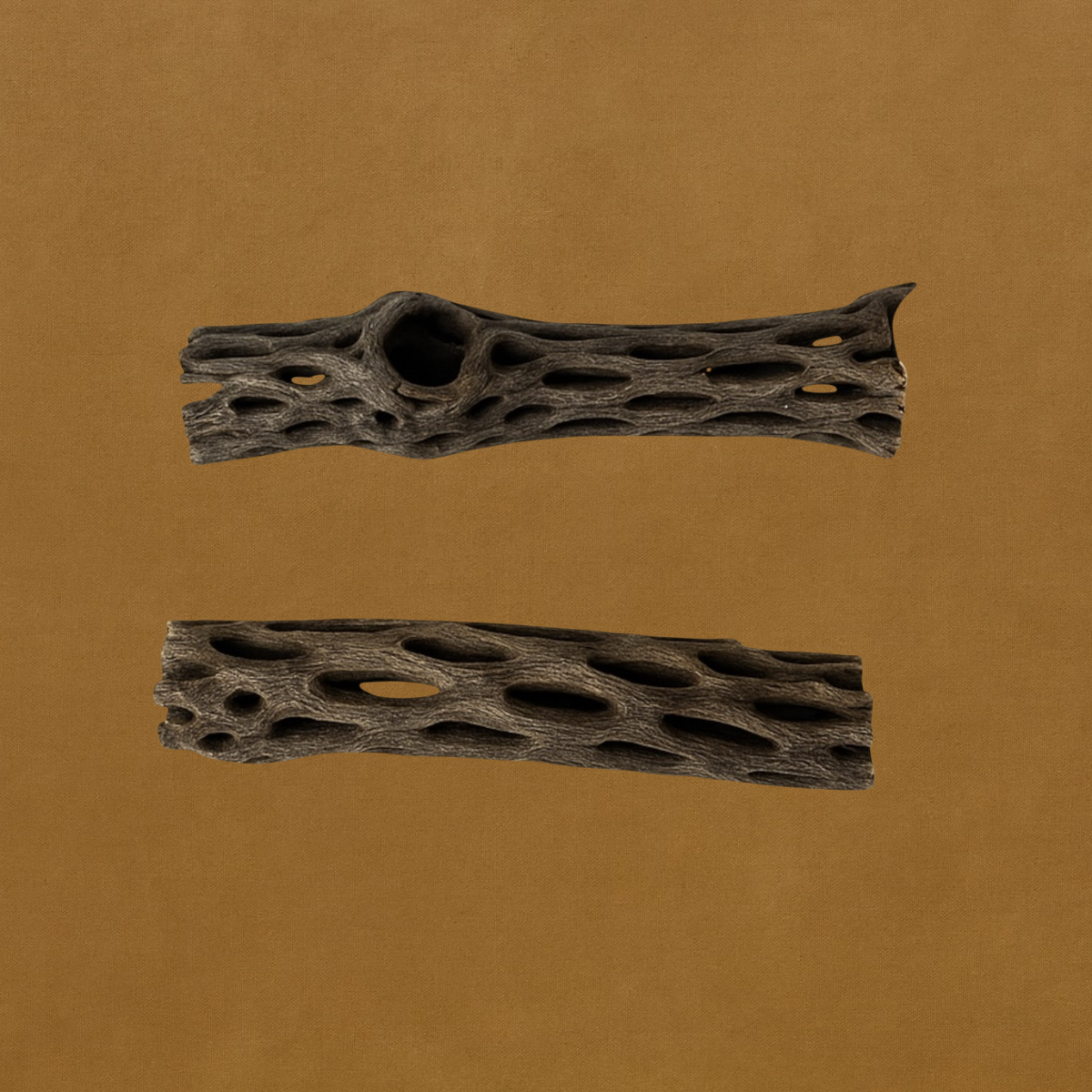 Two pieces of natural Cholla wood displayed on a brown matte background, showing their hollow, textured surfaces with oval openings, ideal for aquarium or shrimp tank decor.