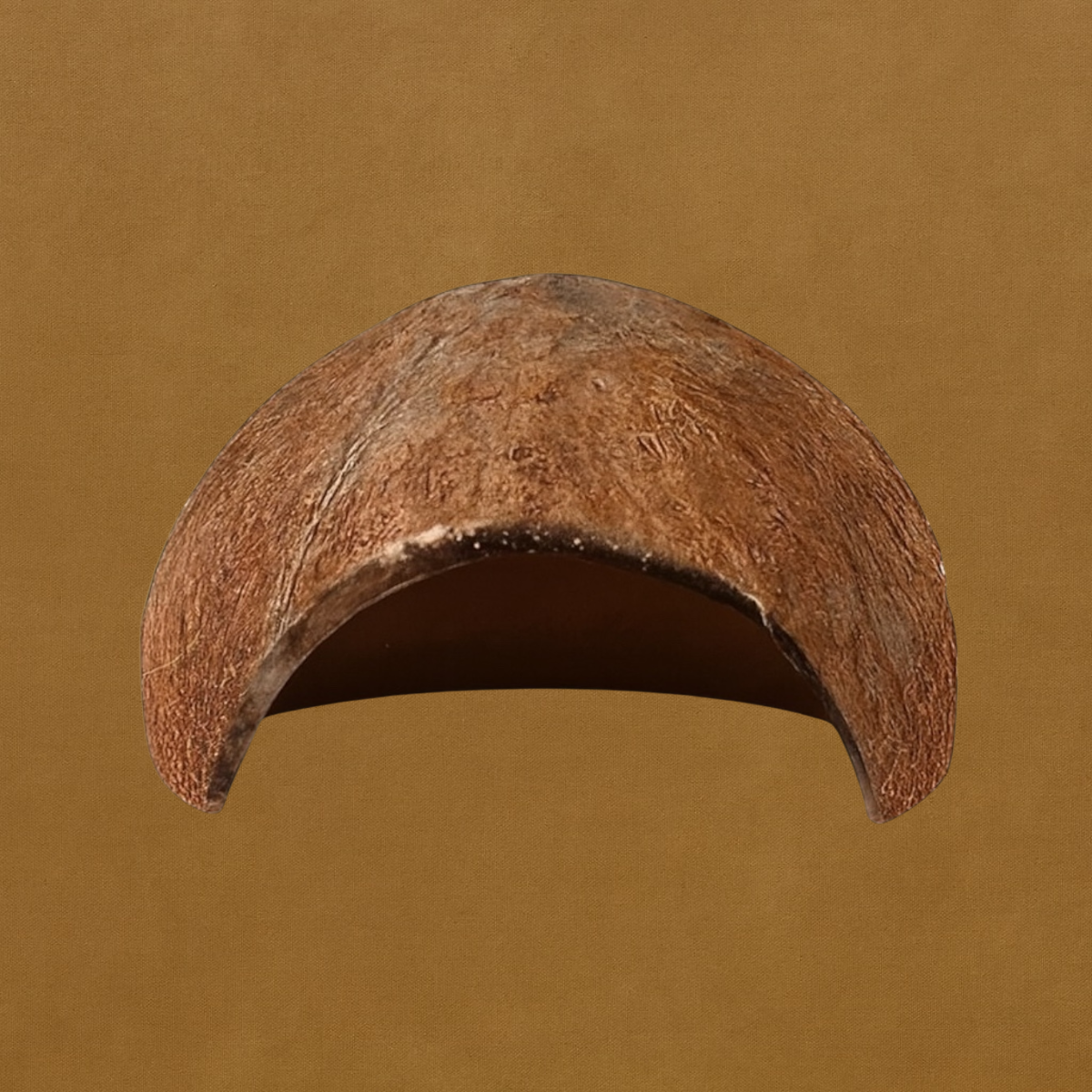 Coconut shell on a brown background