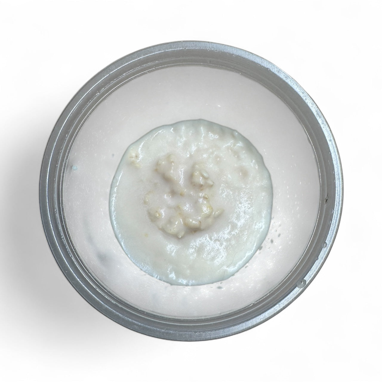 Walter Worm Starter Culture (2 Pack) – Live Fish Food for Fry, Betta, and Nano Fish | AquariumVille