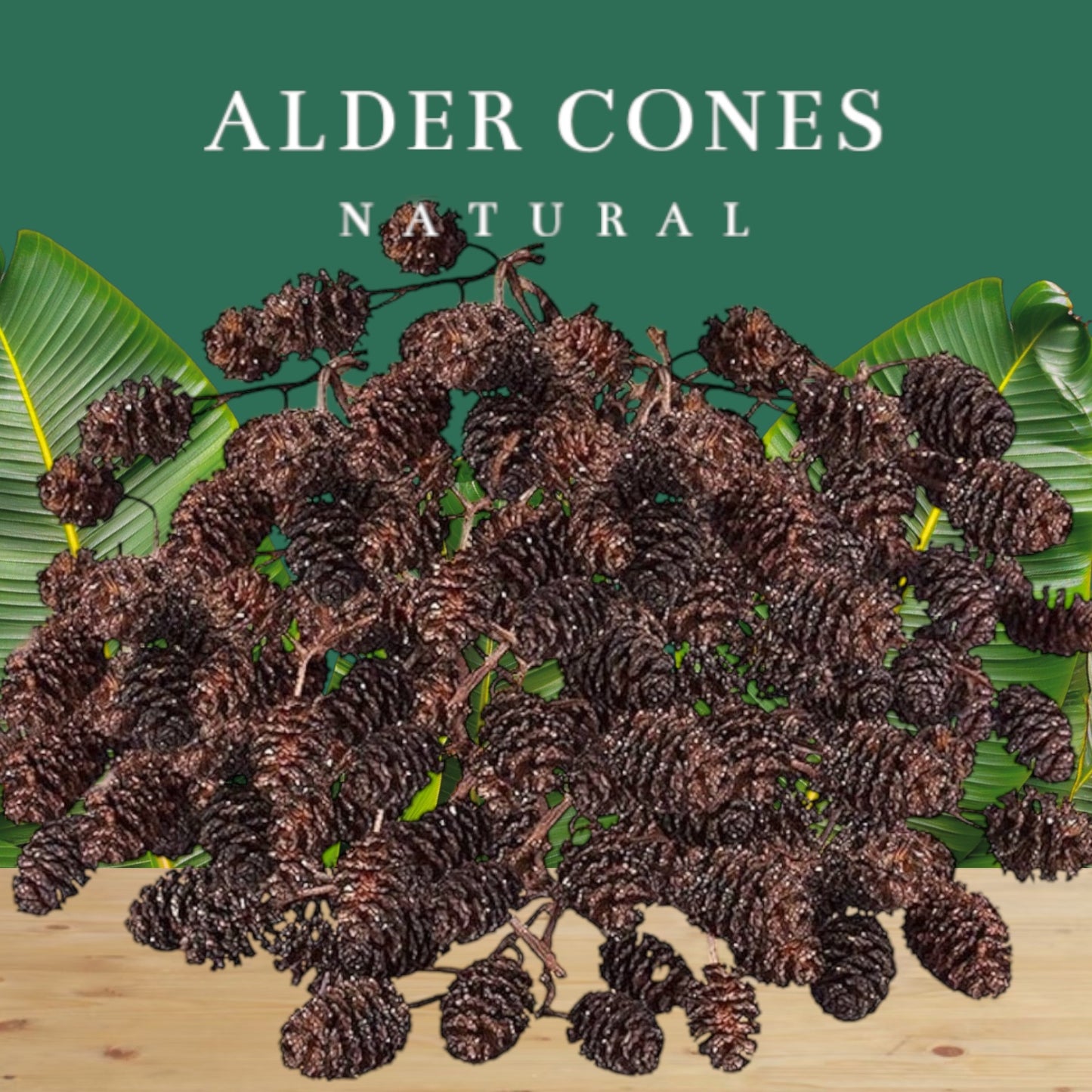 Alder Cones