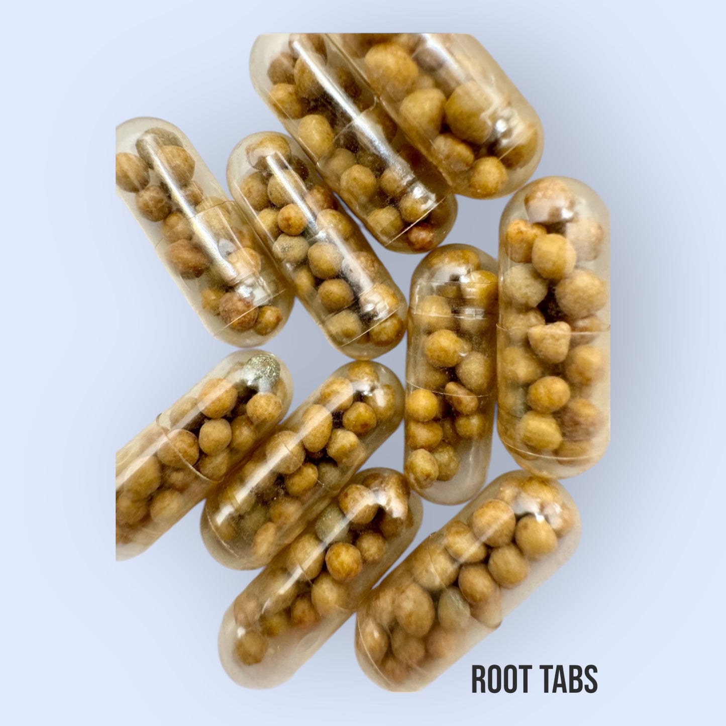 Aquarium plant fertilizer root tabs