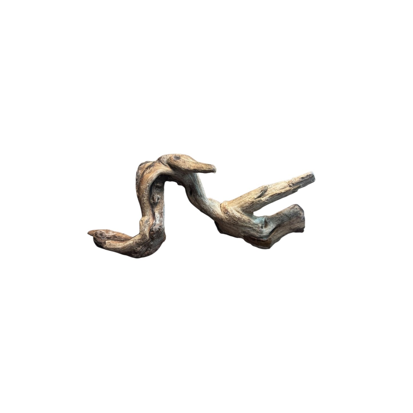 Coral Branch Driftwood (5-7 in) – Natural Aquarium Aquascaping Wood
