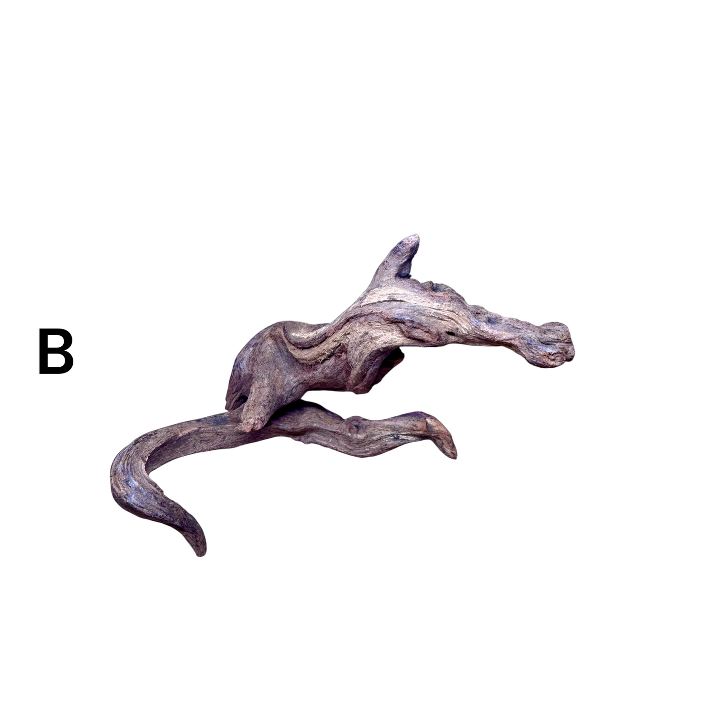Mopani Driftwood | Natural Aquarium Wood for Aquascaping, Shrimp & Reptile Tanks