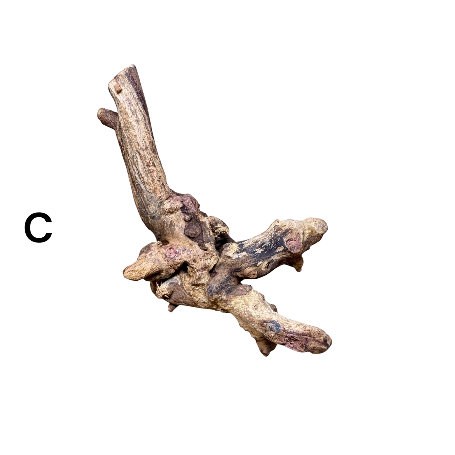 Mopani Driftwood | Natural Aquarium Wood for Aquascaping, Shrimp & Reptile Tanks