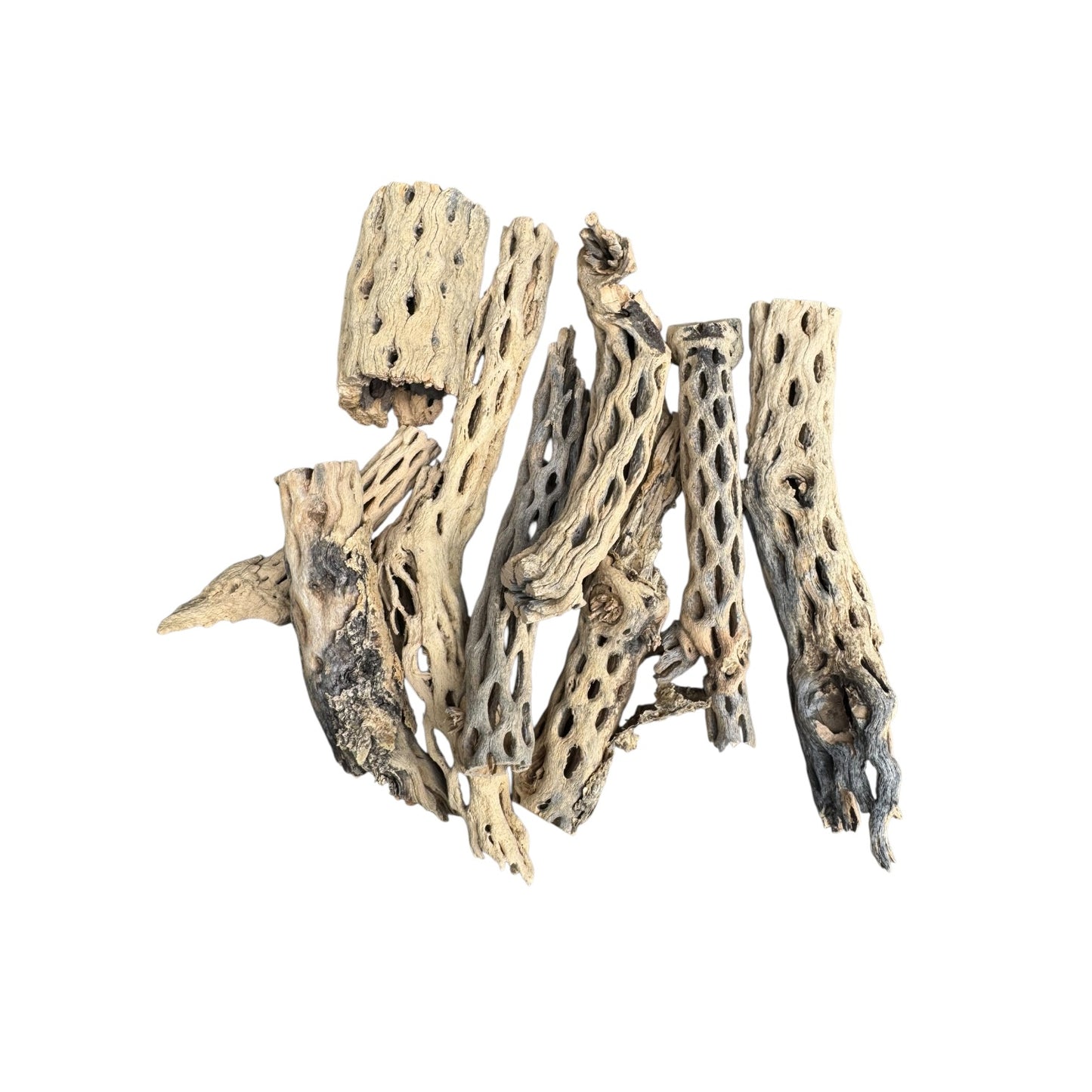 Assorted cholla wood branches arranged together, highlighting intricate openings and natural weathered appearance for vivariums, terrariums, and shrimp aquariums.