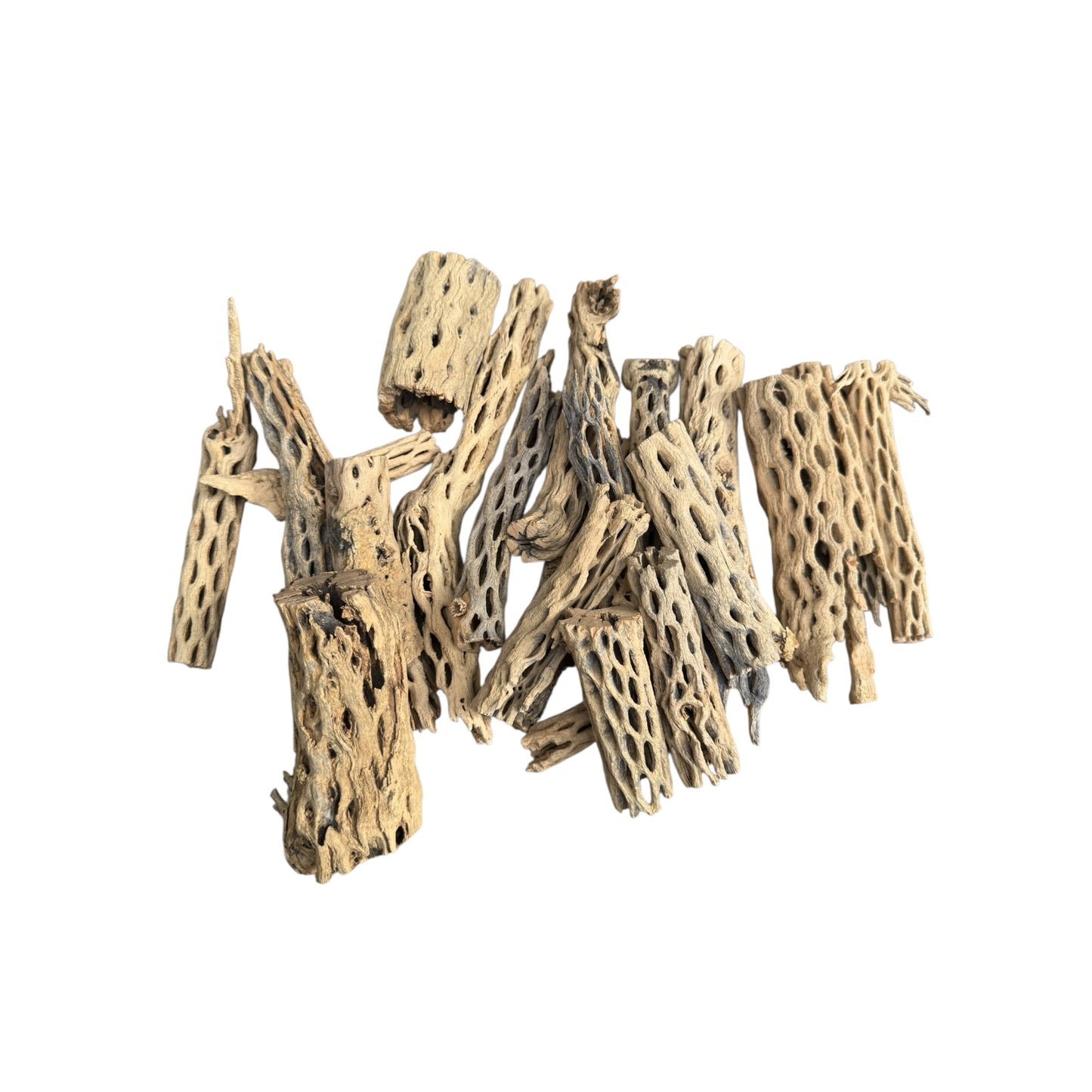 Large assortment of natural cholla wood pieces featuring porous textures, branching forms, and varied sizes for bioactive setups, hardscape projects, and decorative habitat enrichment.
