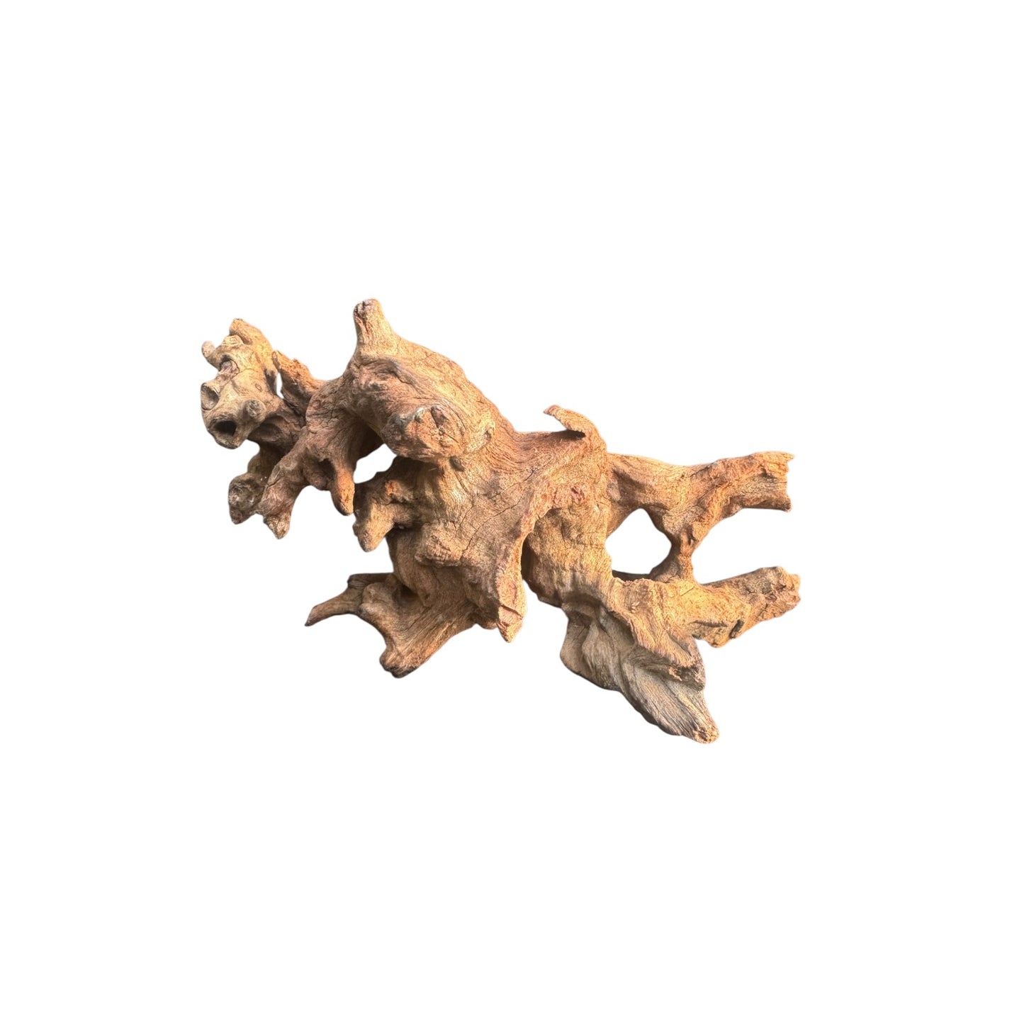 Mopani Driftwood | Natural Aquarium Wood for Aquascaping, Shrimp & Reptile Tanks