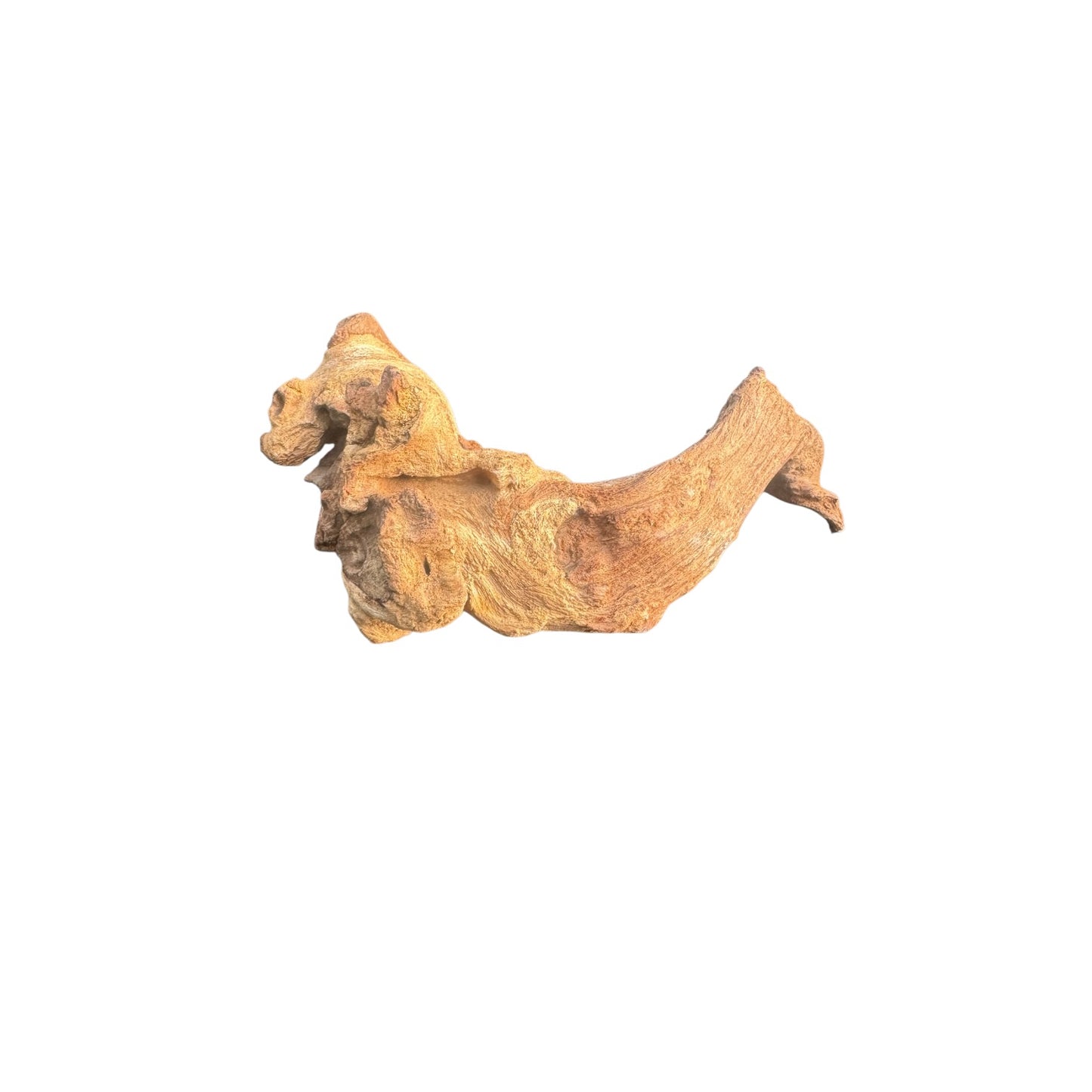 Mopani Driftwood | Natural Aquarium Wood for Aquascaping, Shrimp & Reptile Tanks