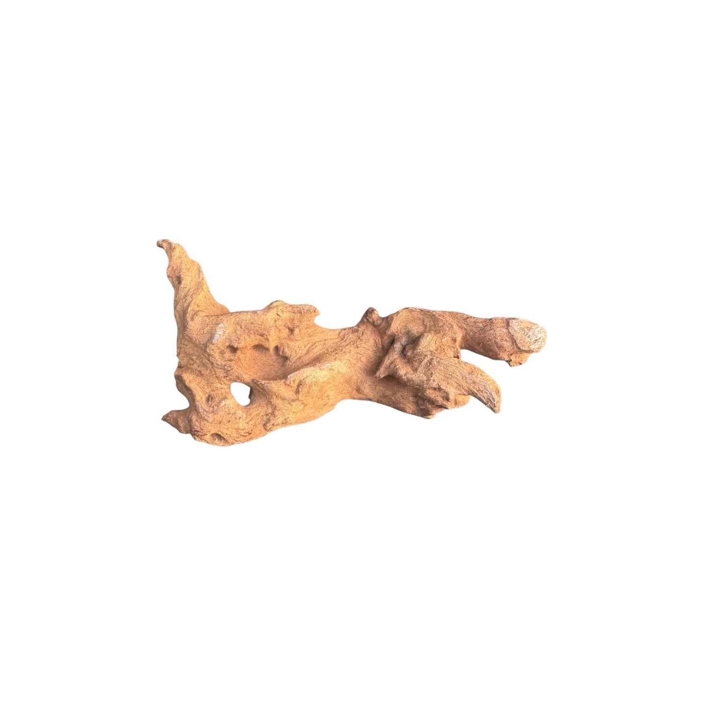 Mopani Driftwood | Natural Aquarium Wood for Aquascaping, Shrimp & Reptile Tanks
