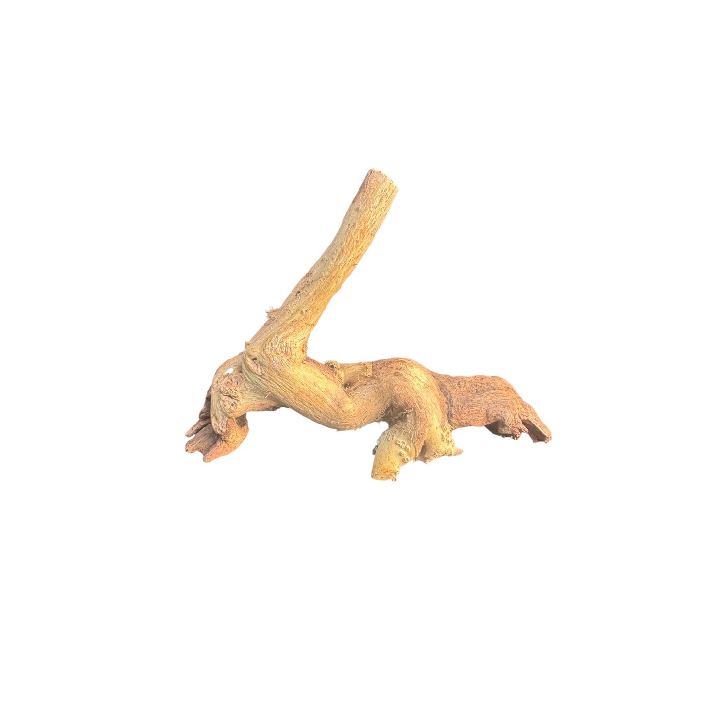 Mopani Driftwood | Natural Aquarium Wood for Aquascaping, Shrimp & Reptile Tanks