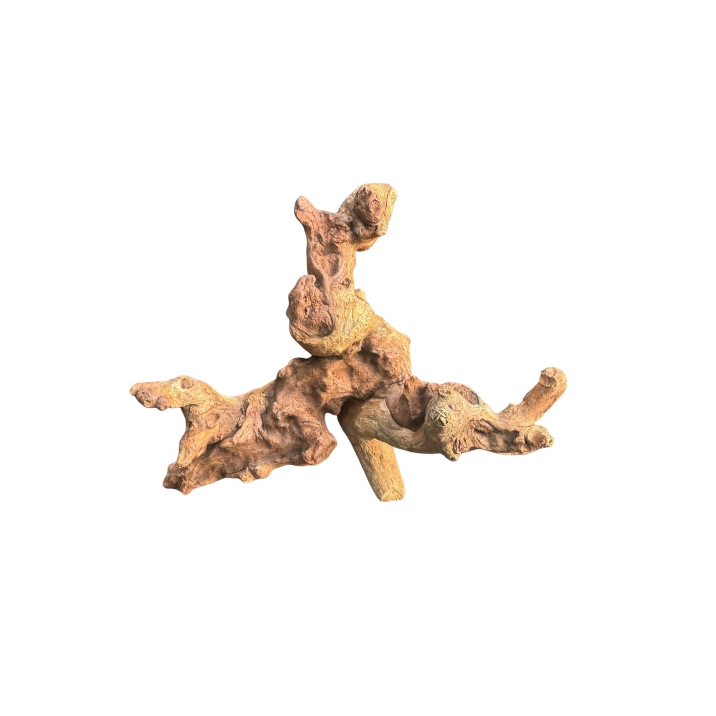 Mopani Driftwood | Natural Aquarium Wood for Aquascaping, Shrimp & Reptile Tanks