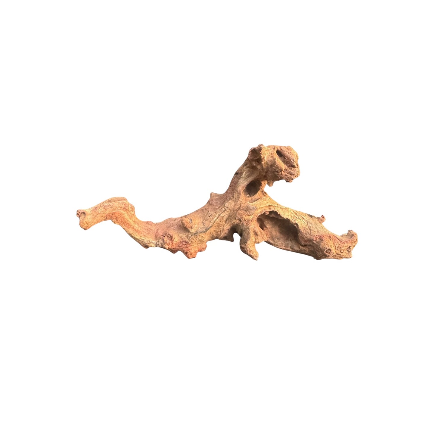 Mopani Driftwood | Natural Aquarium Wood for Aquascaping, Shrimp & Reptile Tanks