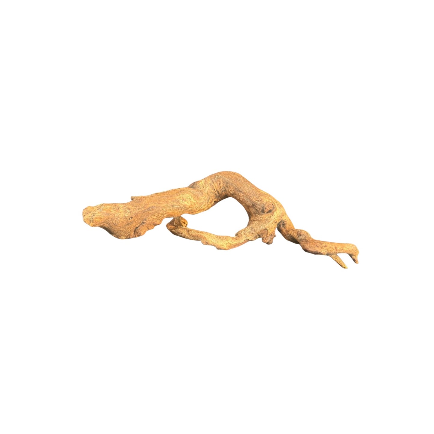 Mopani Driftwood | Natural Aquarium Wood for Aquascaping, Shrimp & Reptile Tanks