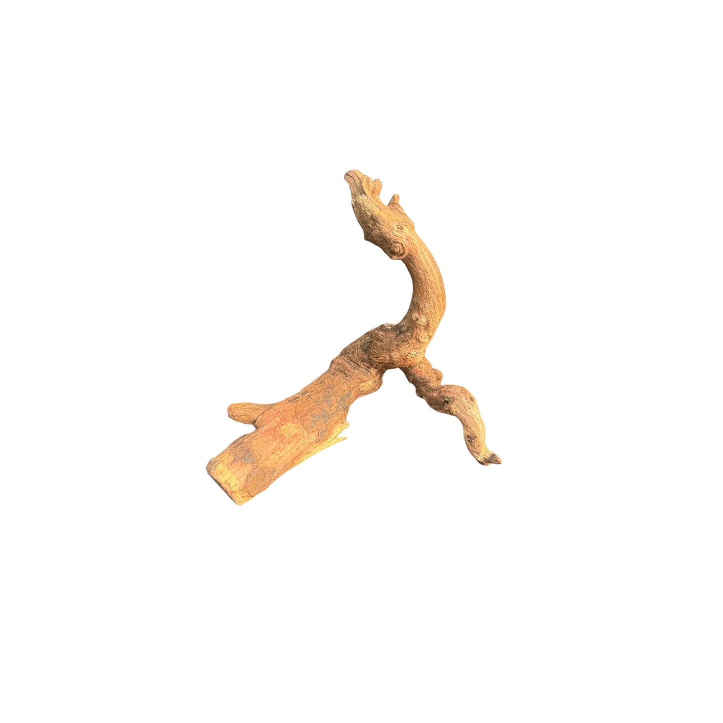 Mopani Driftwood | Natural Aquarium Wood for Aquascaping, Shrimp & Reptile Tanks