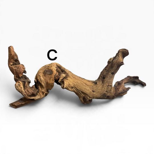 Unique Mopani Driftwood 10-14 Inch | Aquarium Hardscape Wood | Pick Your Exact Piece