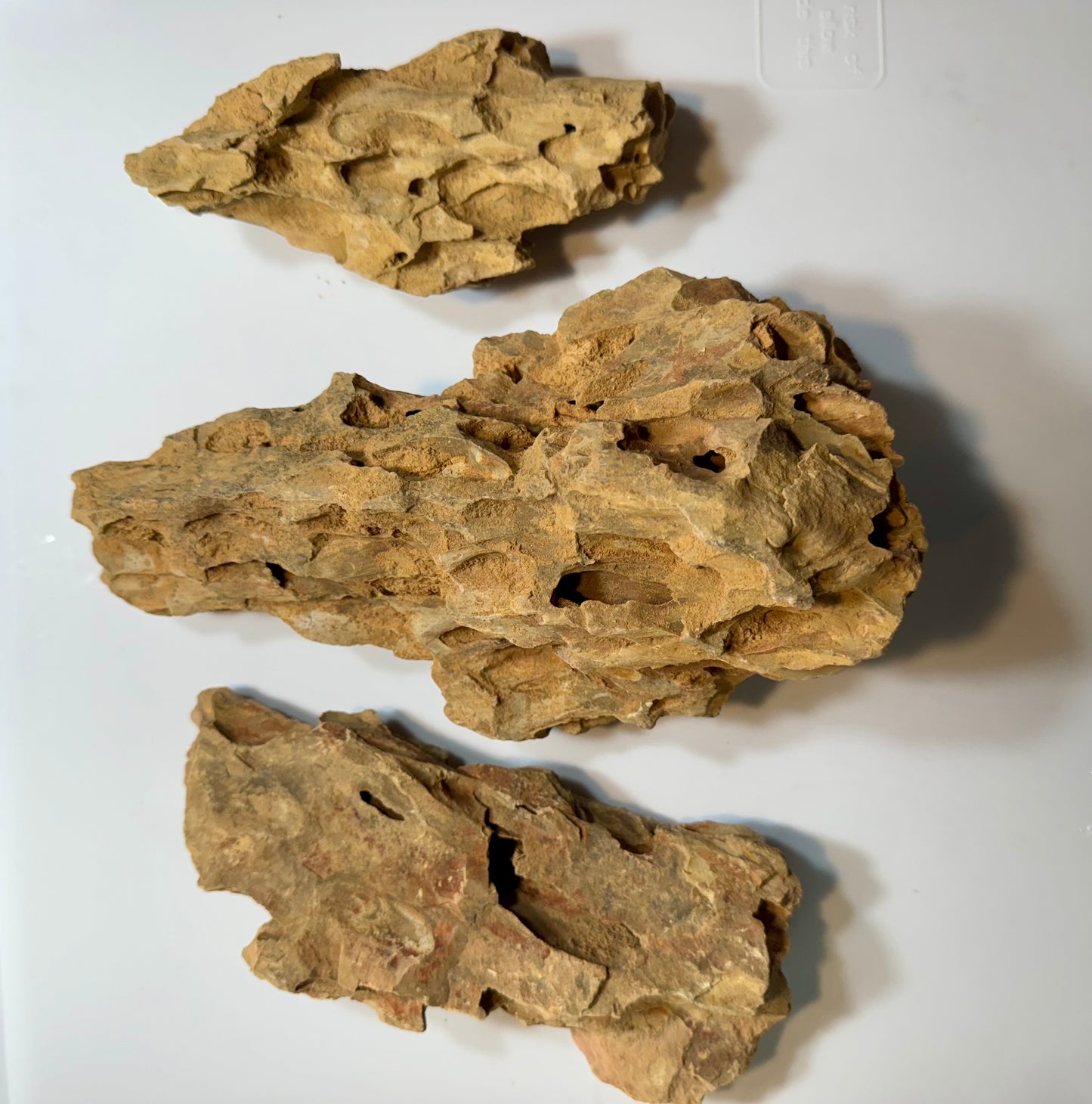 Dragon Stone – Natural Aquarium Aquascaping Rock