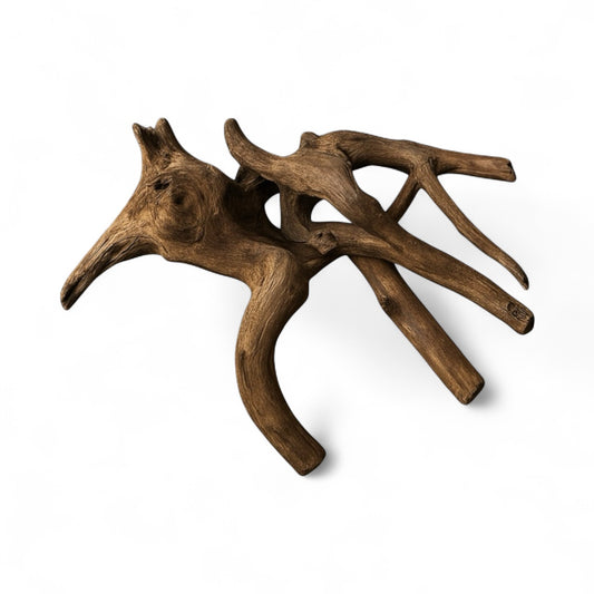 Natural spiderwood driftwood piece with twisted branches on white background, used for aquascaping, freshwater aquariums, shrimp tanks, and terrariums.